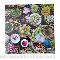 Re-Marks Succulents Cactus Plants 1000 Piece Puzzle Made in USA B01N8SOVK0